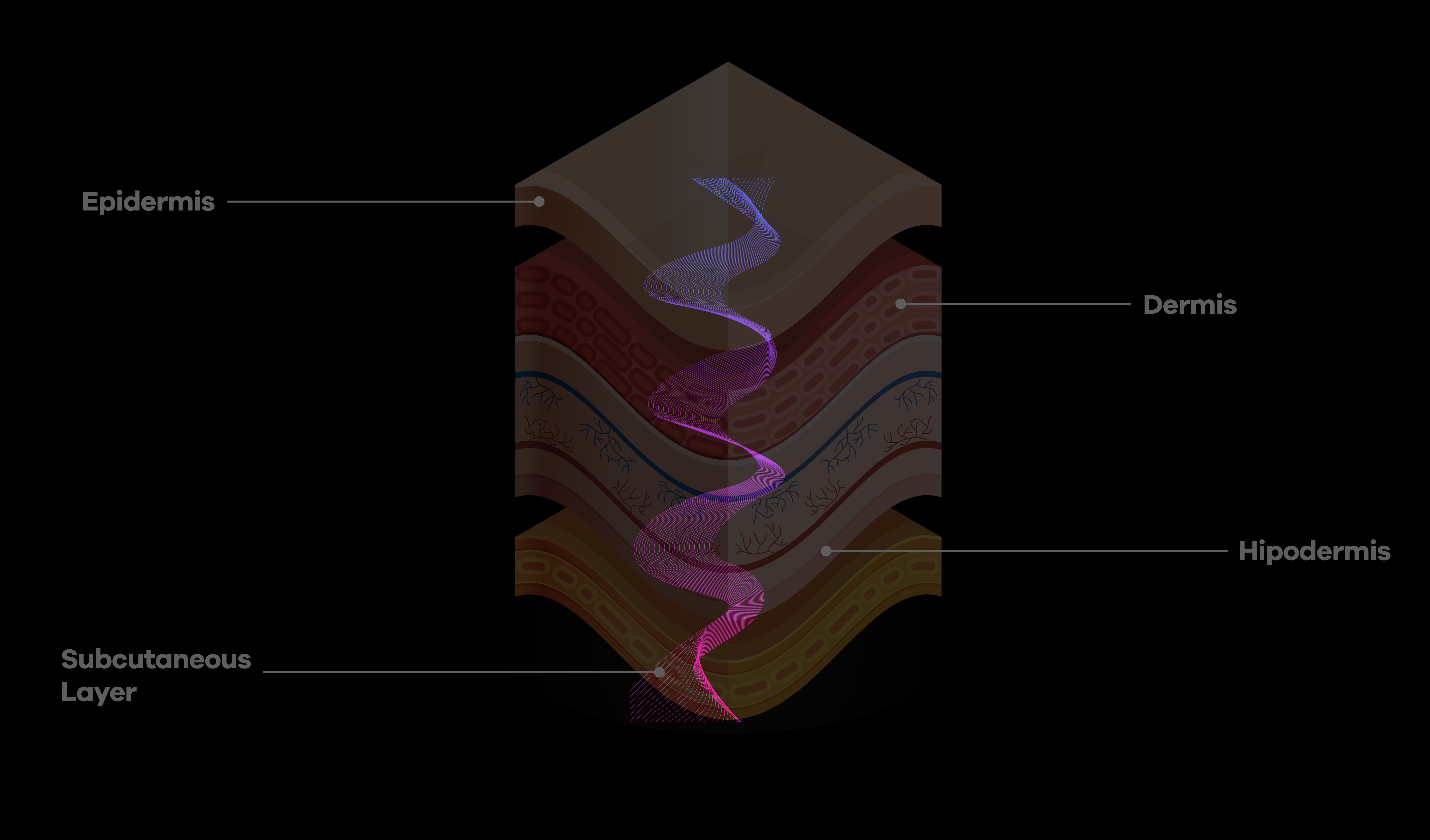 What <strong>Each Light</strong> Does and Why It Matters